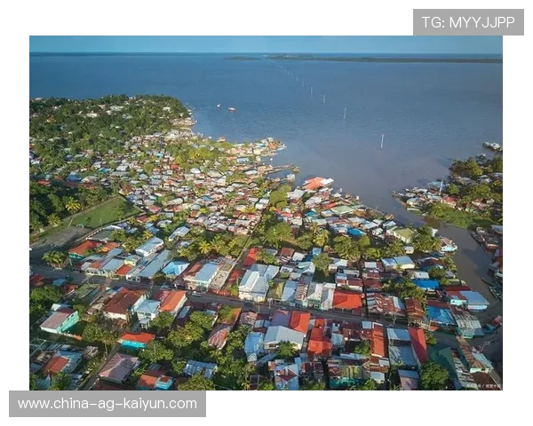 海地加入国际运动助力国家形象提升，海地 国家