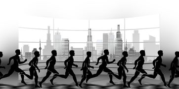 开云体育app在线-NBA球队赛事安全管理体系建设，nba球队管理系统数据库