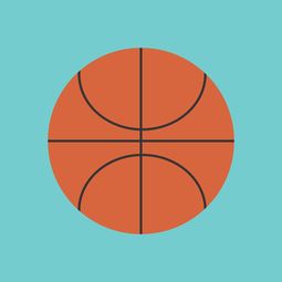 开云体育在线-中国篮球联赛市场竞争环境分析与预测，篮球市场现状