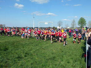 开云体育app在线-中国篮球青少年篮球发展政策落实与推广，中国青少年篮球发展现状