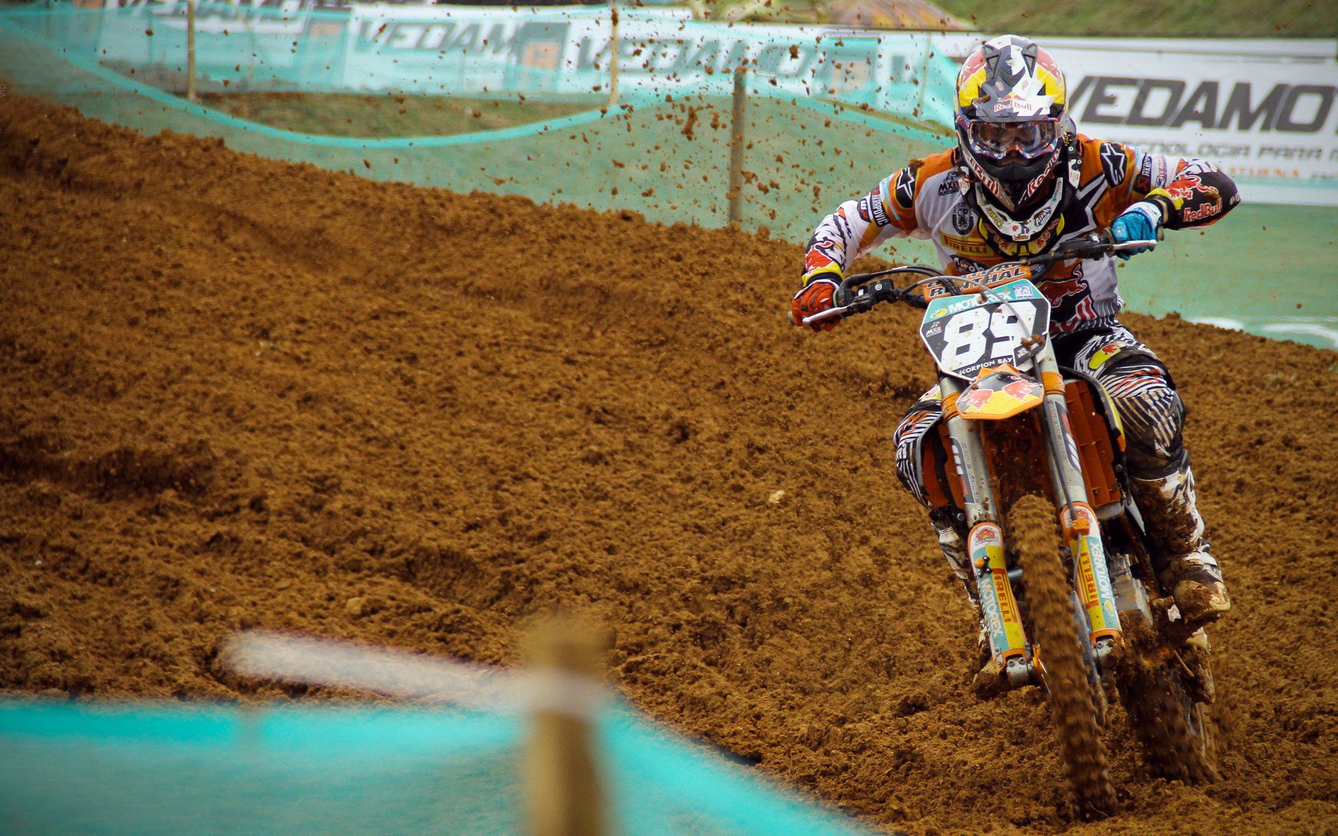 体育新闻中心球迷声音集锦，球迷轶事