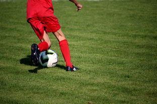 开云体育在线官网-中国足球是否应该建立球员行为规范体系，中国足球规划球员政策